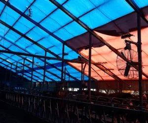 asbest verwijderen ligboxenstal